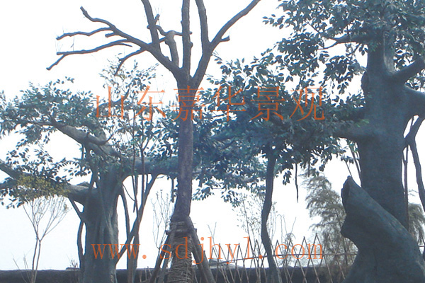 ���f�����(sh��)�̼�