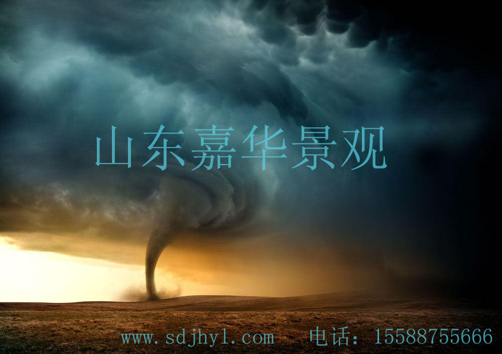 �Z�L(f��ng)��Ч����